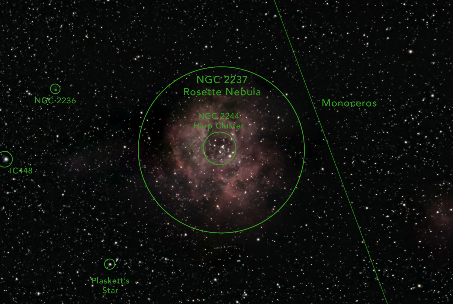 rosette nebula location