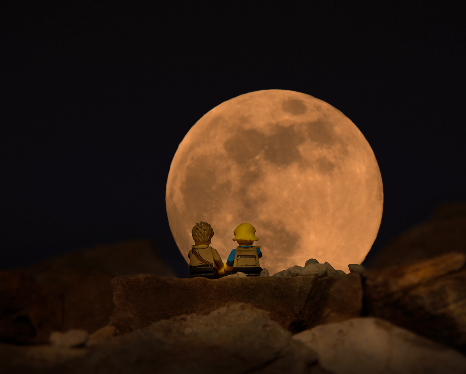 May Flower Moon © Irwin Seidman