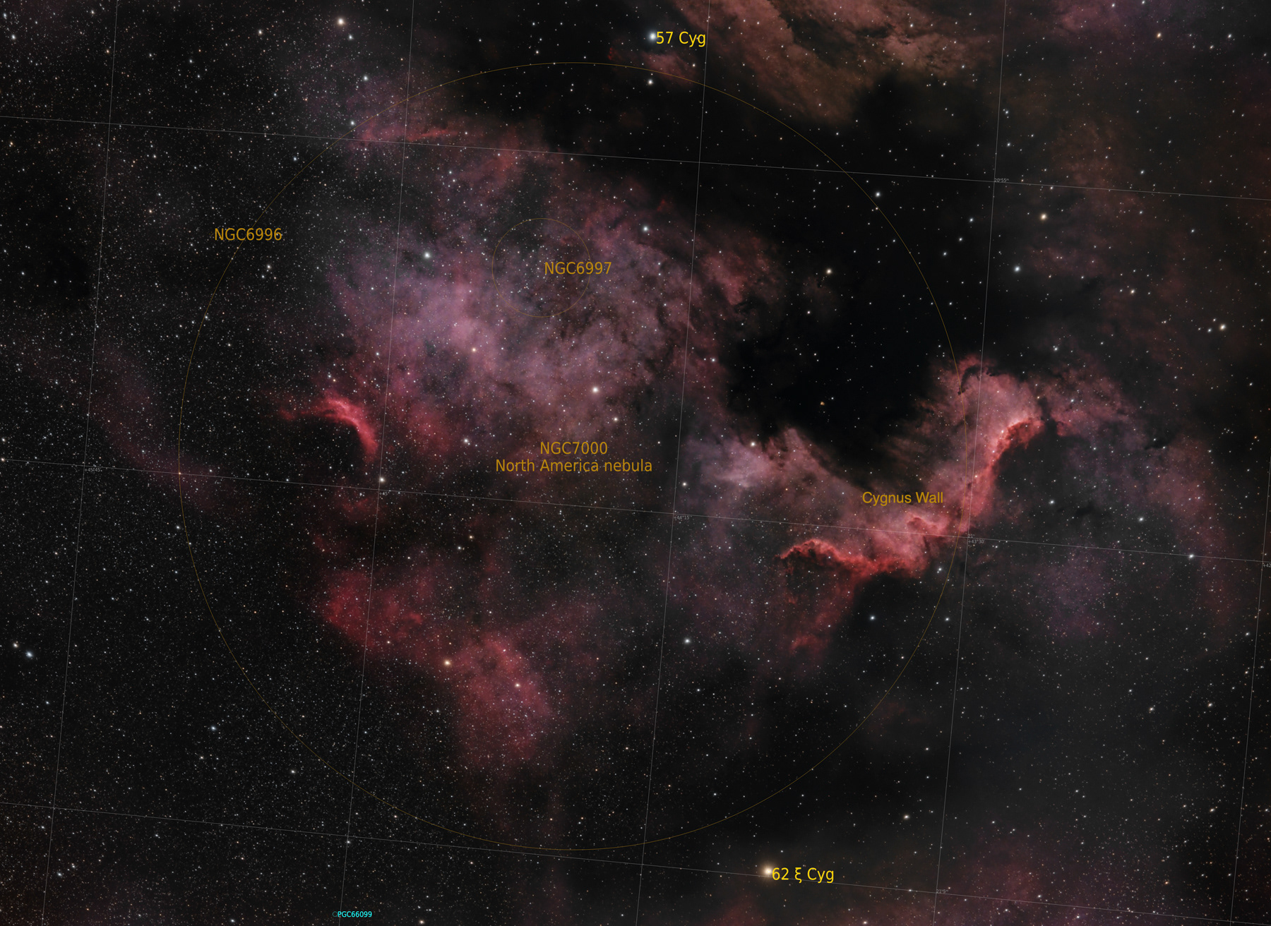 NGC 7000 North America Nebula © Irwin Seidman