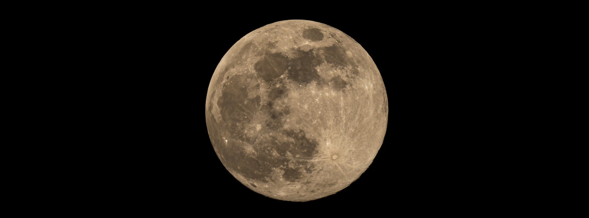 Flower Moon © Irwin Seidman