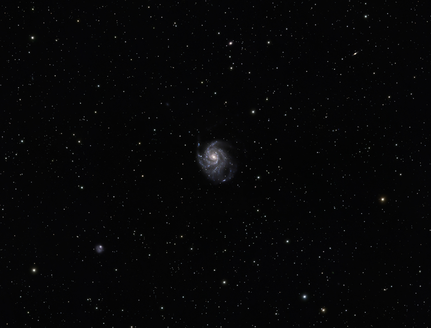 M101 Pinwheel Galaxy (crop zoom) © Irwin Seidman