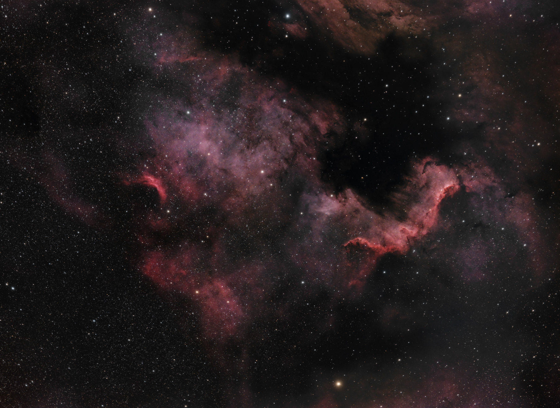 NGC 7000 North America Nebula © Irwin Seidman