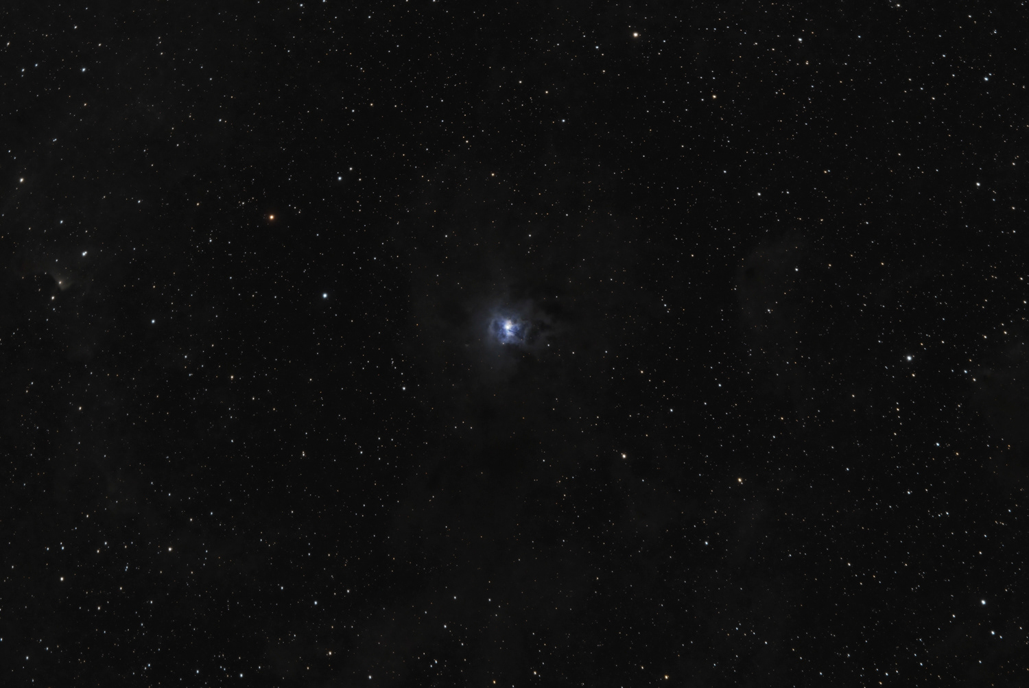 NGC 7023 Iris Nebula © Irwin Seidman