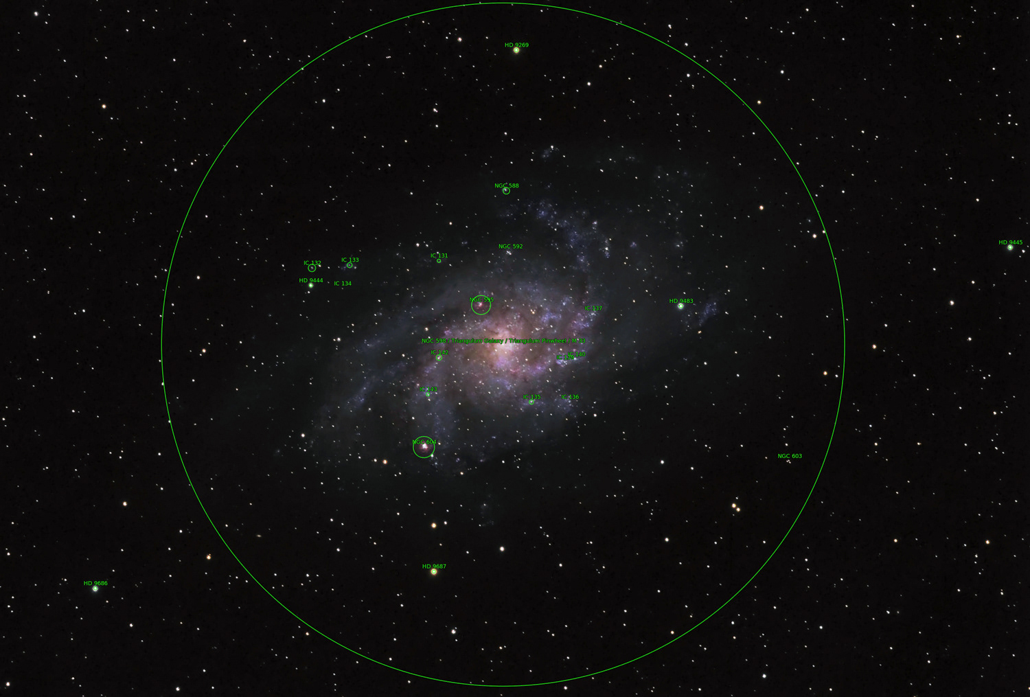 M33 • Triangulum Galaxy (annotated) © Irwin Seidman