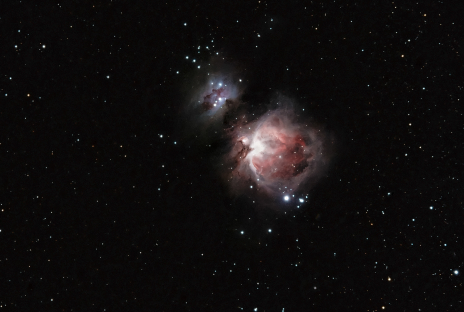 M42 The Orion Nebula © Irwin Seidman