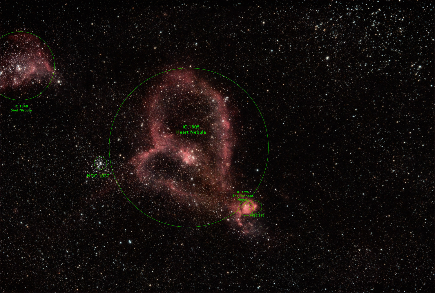 IC 1805 • Heart Nebula (annotated) © Irwin Seidman
