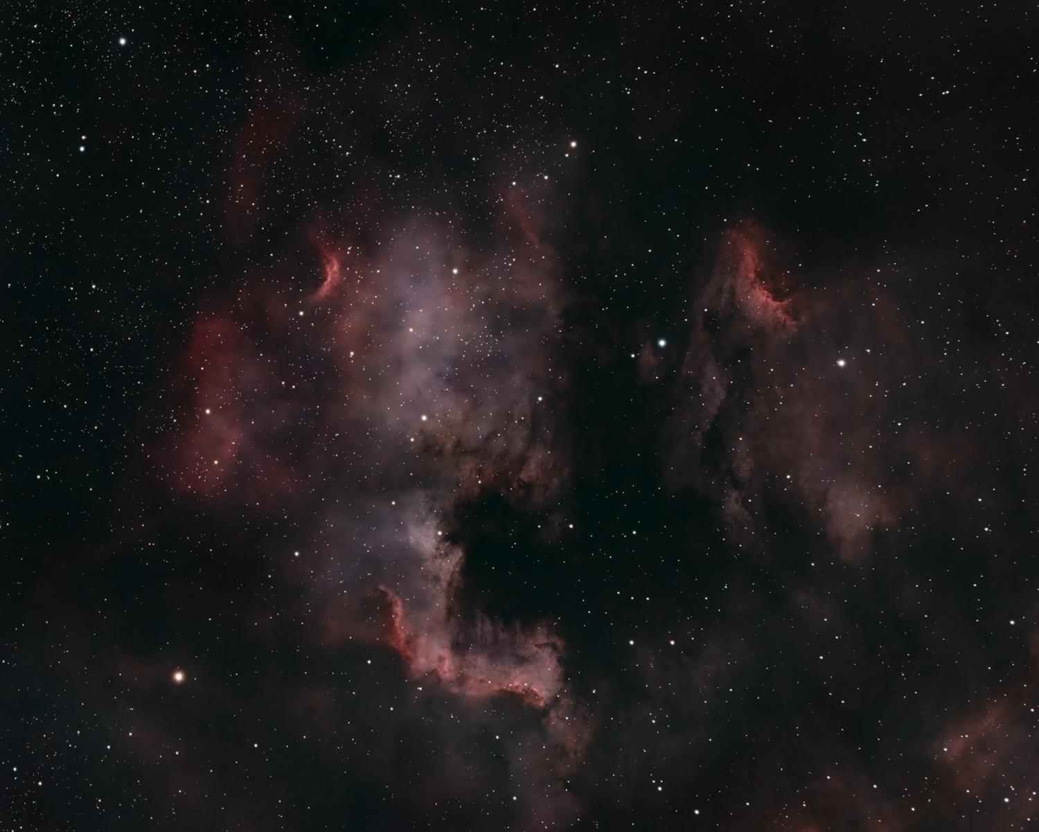 NGC 7000 North America Nebula © Irwin Seidman