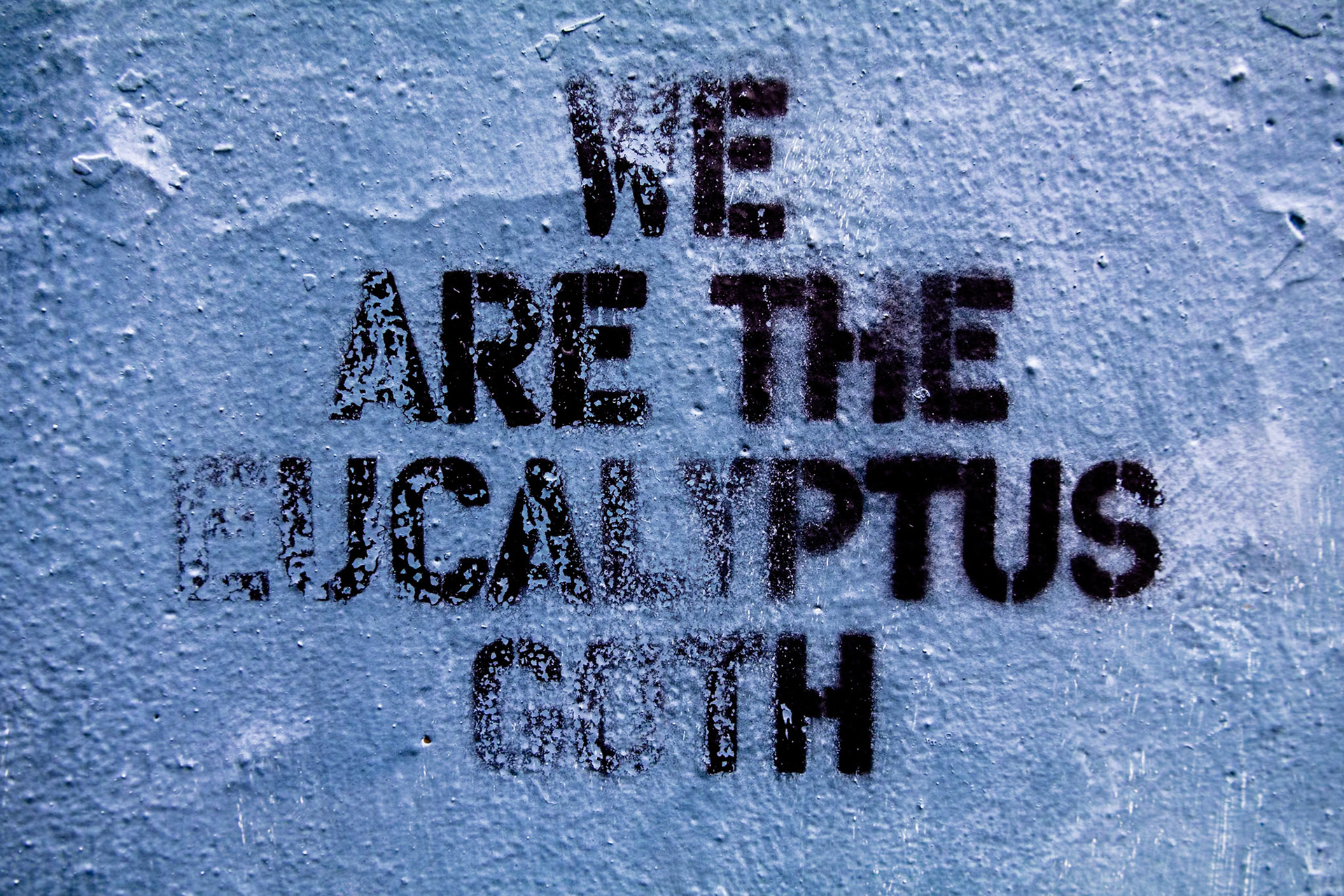 Apparently Eucalyptus Goth is a book published in 2017, TIL