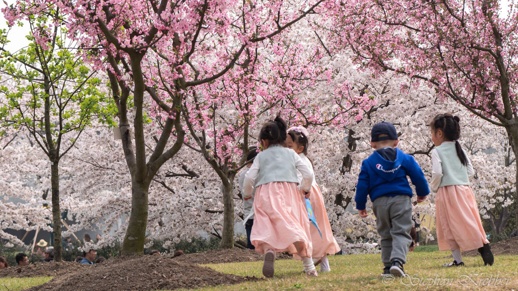 2019 - Botanical Garden - Shanghai / China