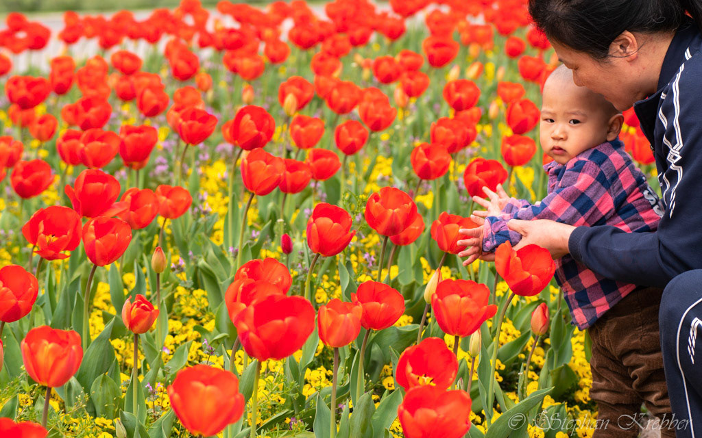 2019 - Botanical Garden - Shanghai / China