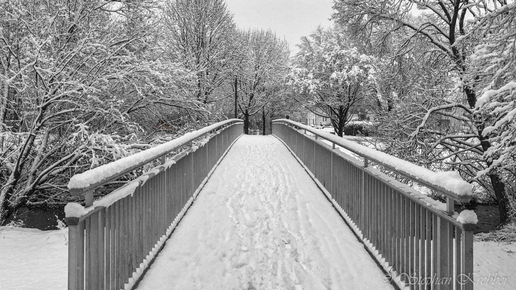 2019 - Bridge - Leverkusen / Germany