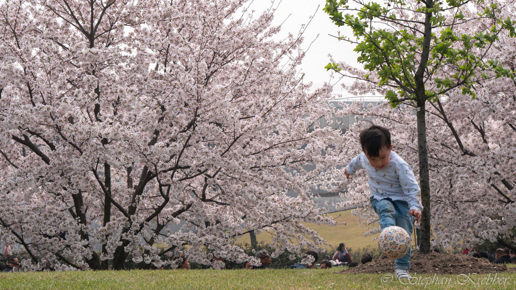 2019 - Botanical Garden - Shanghai / China