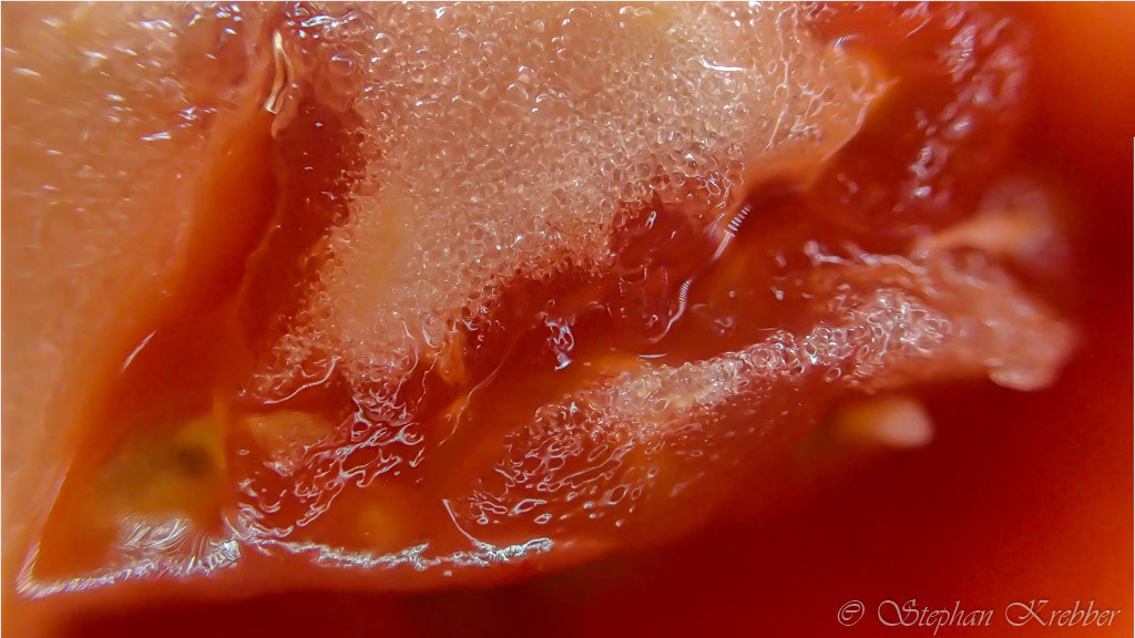 2015 - Tomato Macro - Shanghai / China