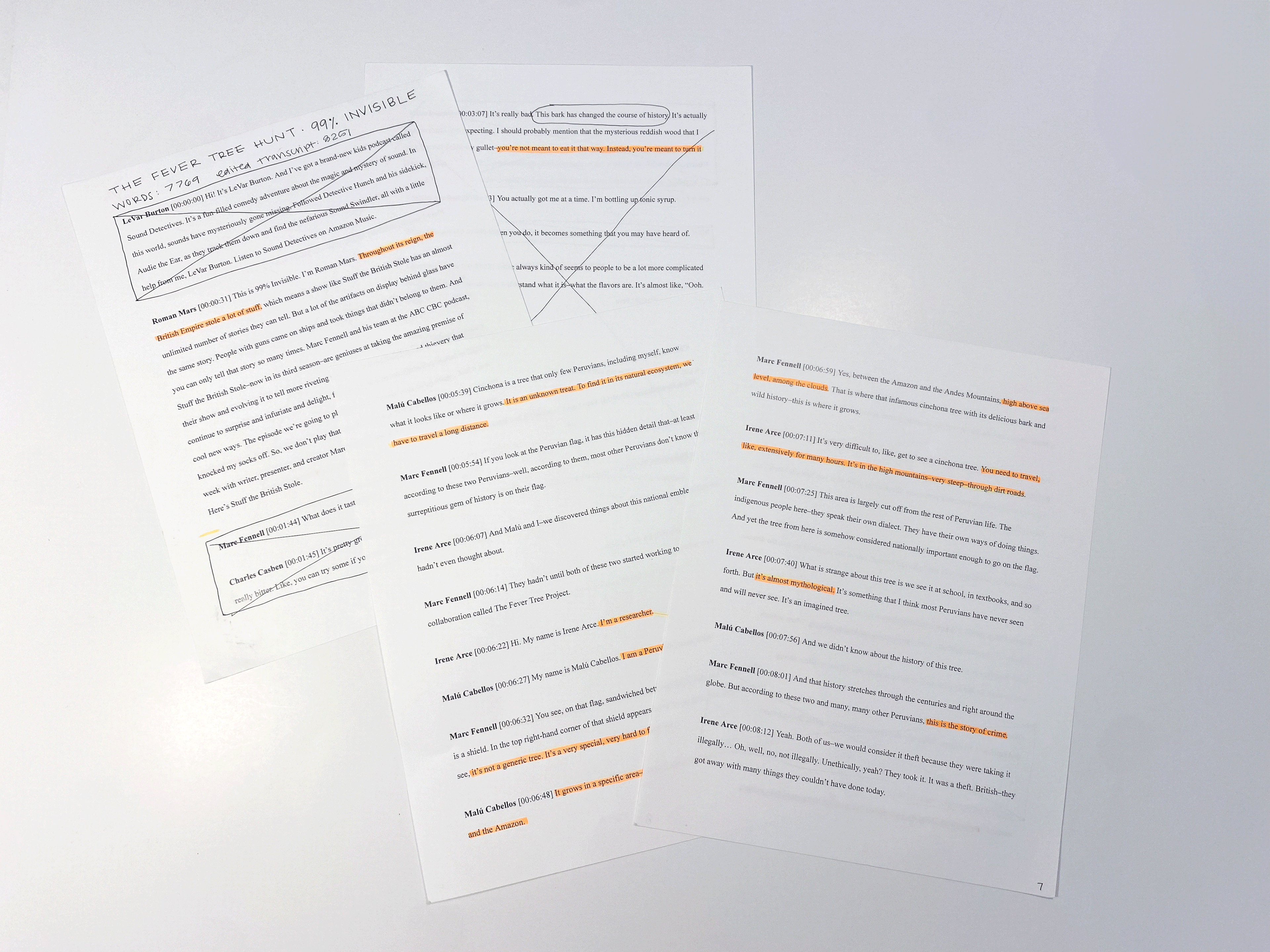Editing the Podcast Transcript