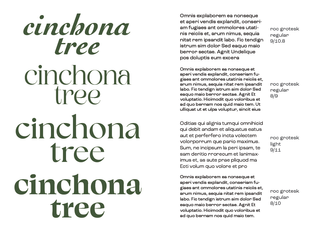 Type Test