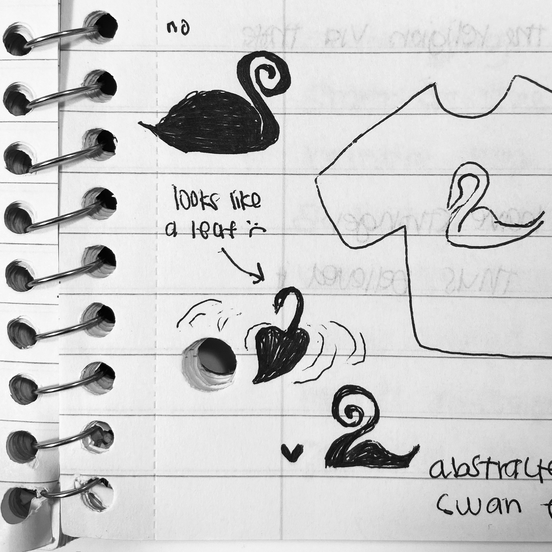 Swan Sketches