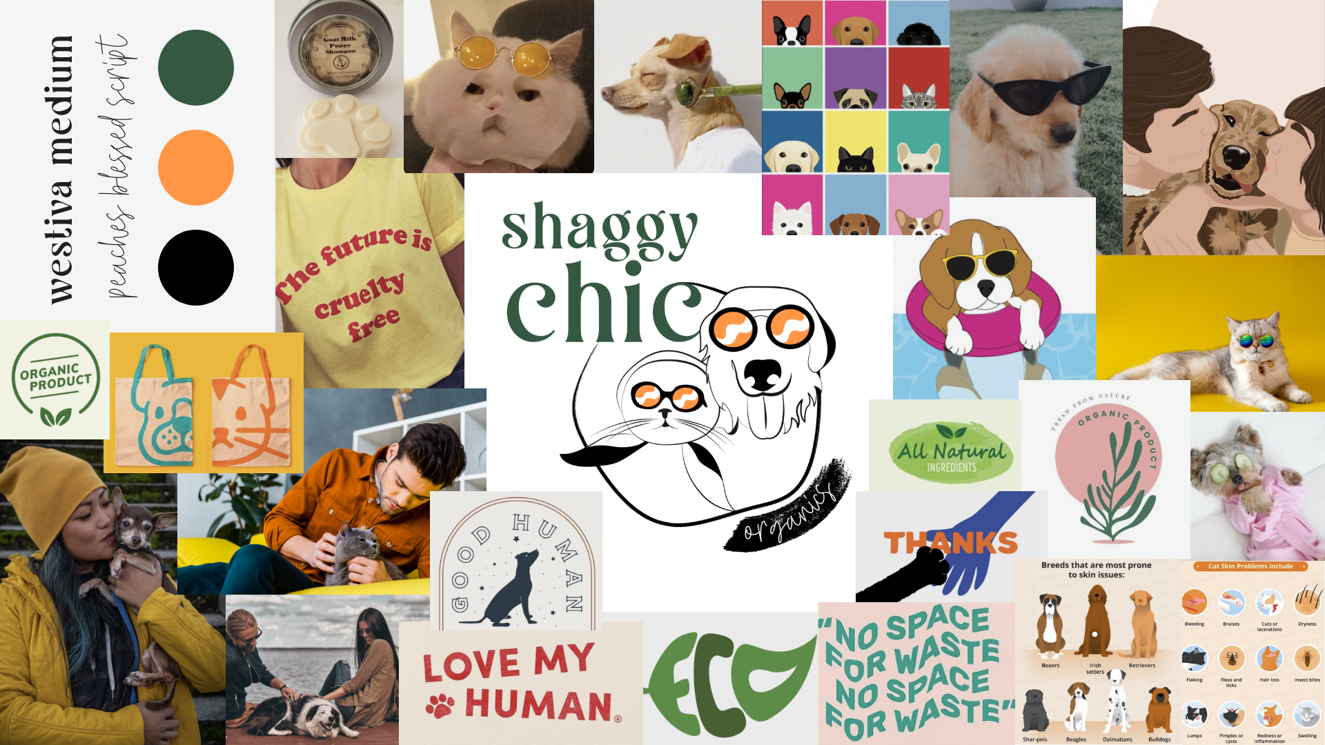Brand Identity Moodboard