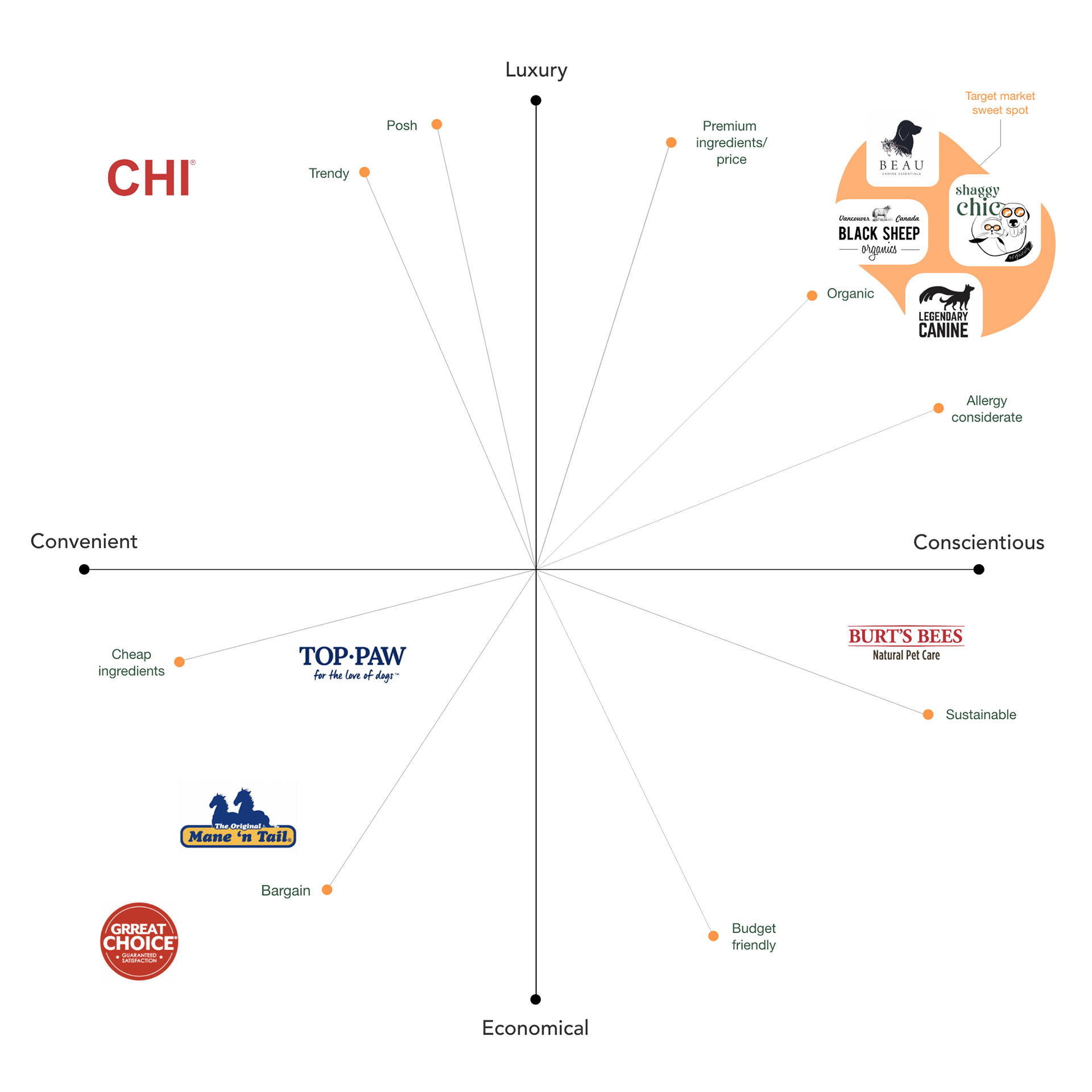 Brand Perceptual Map