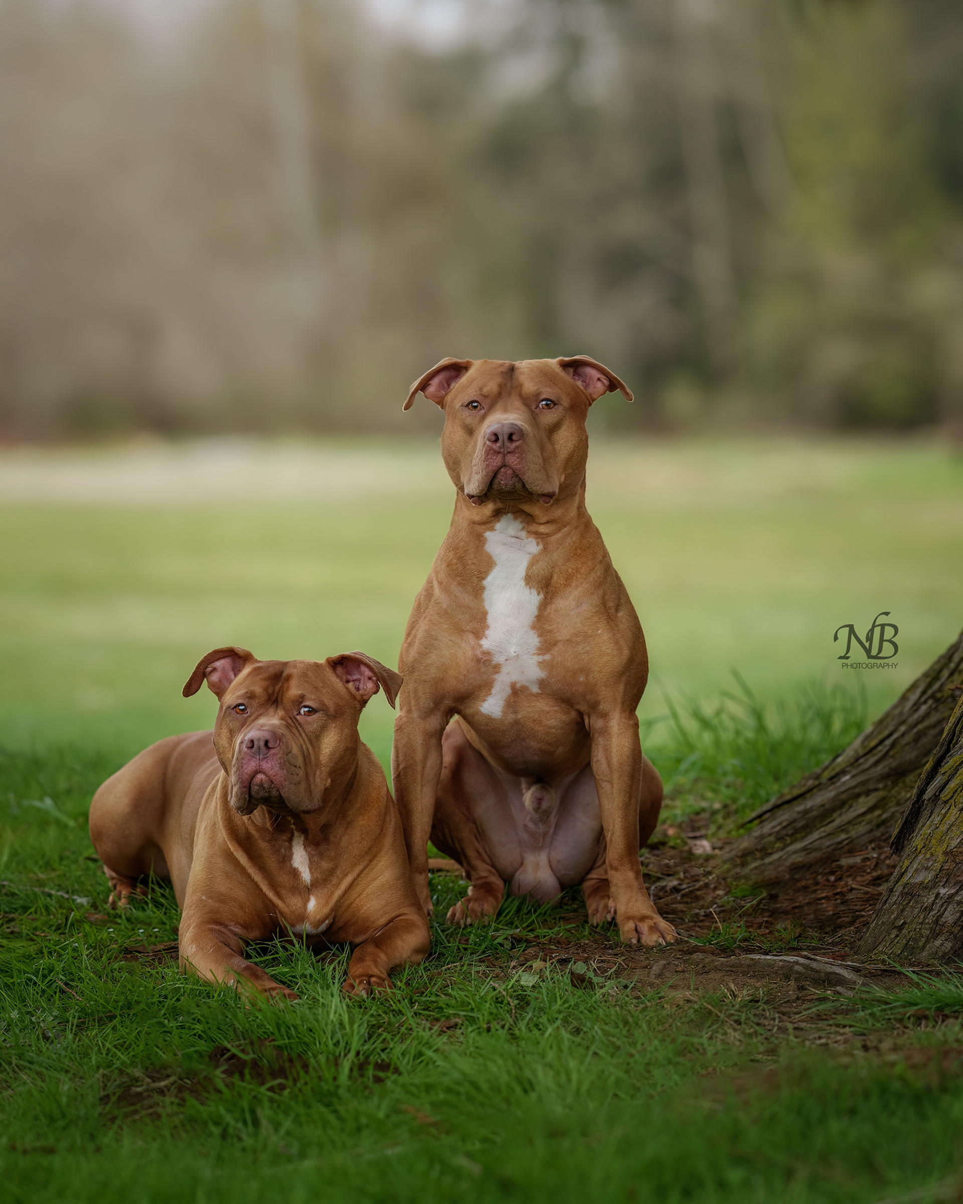 Leo and Athena