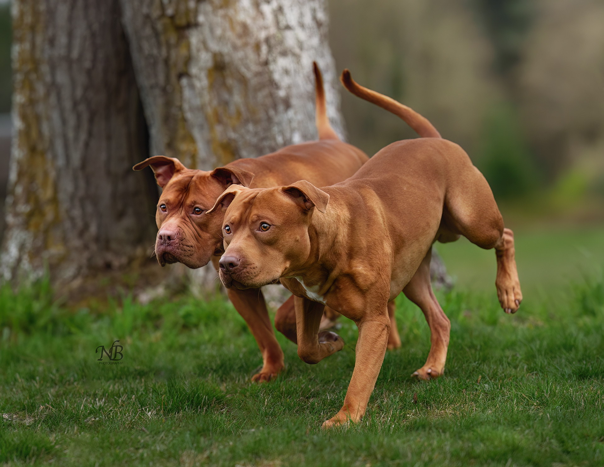 Leo and Athena