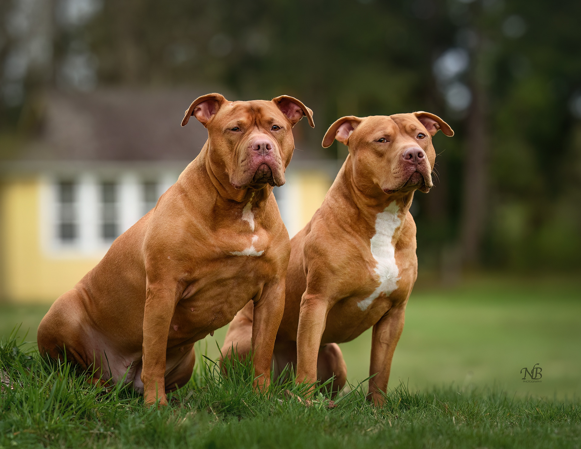 Leo and Athena