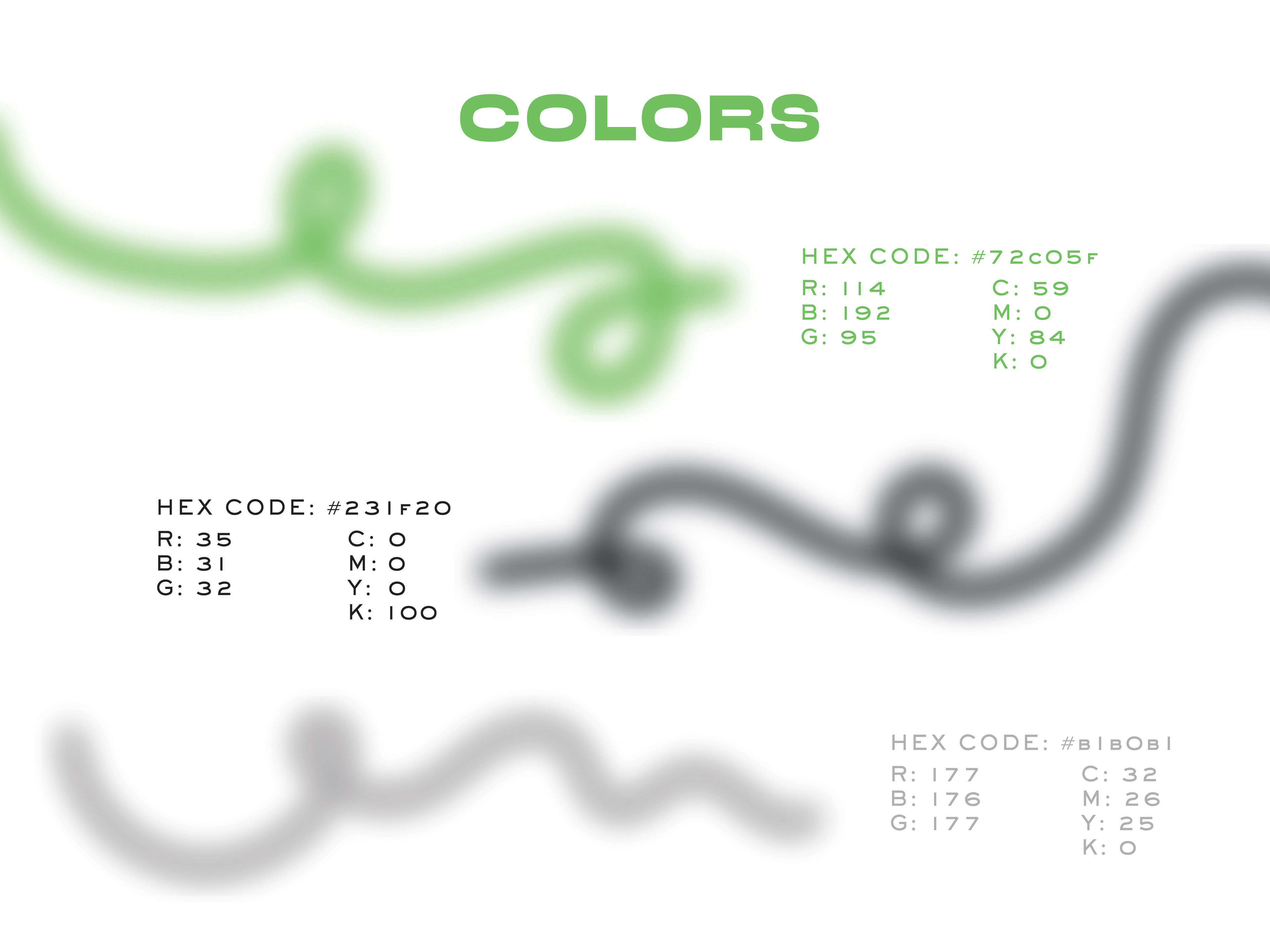 Color Palette