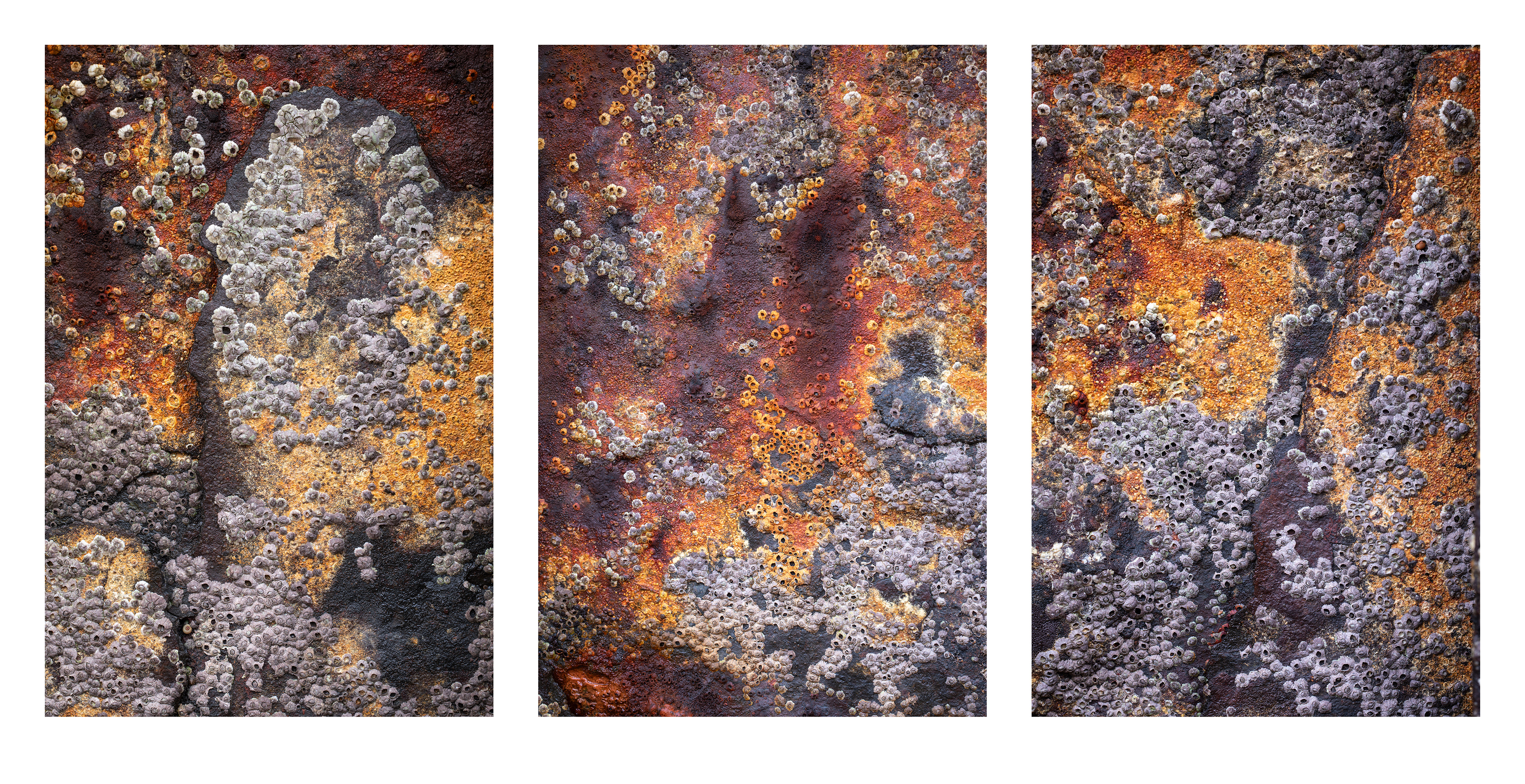 Diabeg Decay Triptych