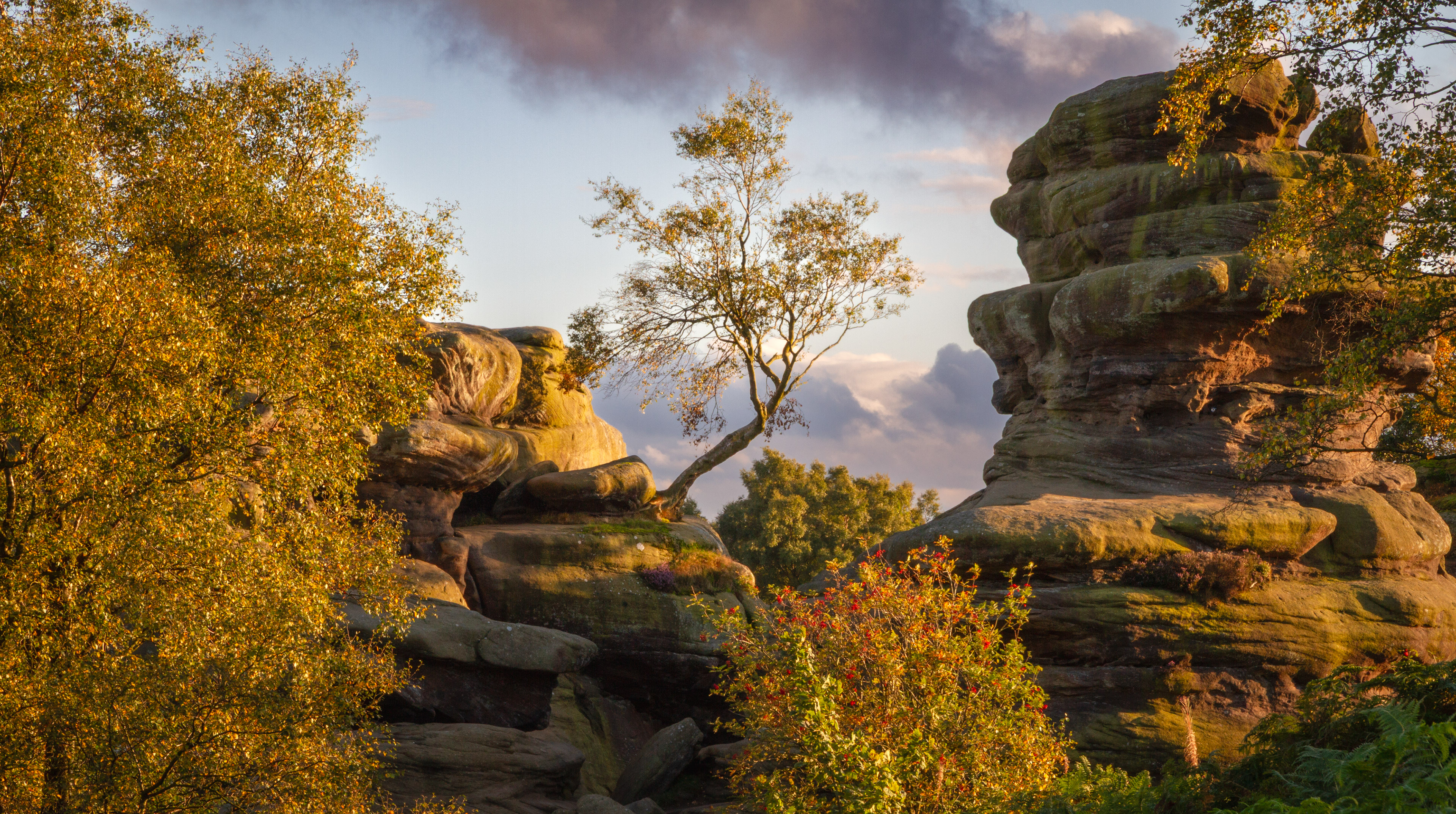 The Yorkshire Badlands