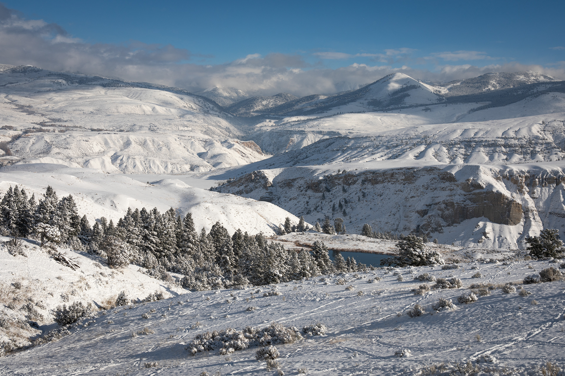 Yellowstone in Winter