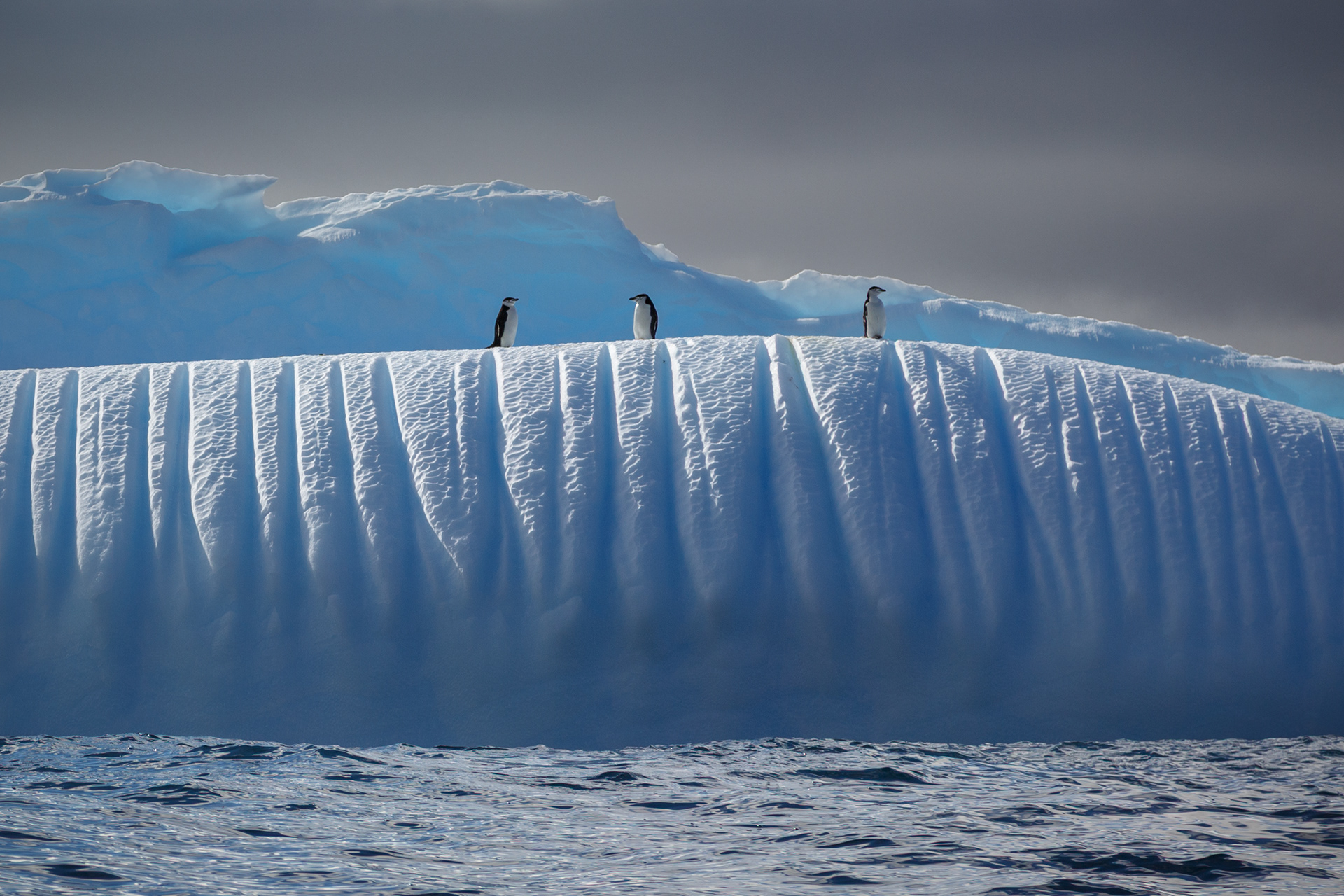 Fancy Meeting You Here