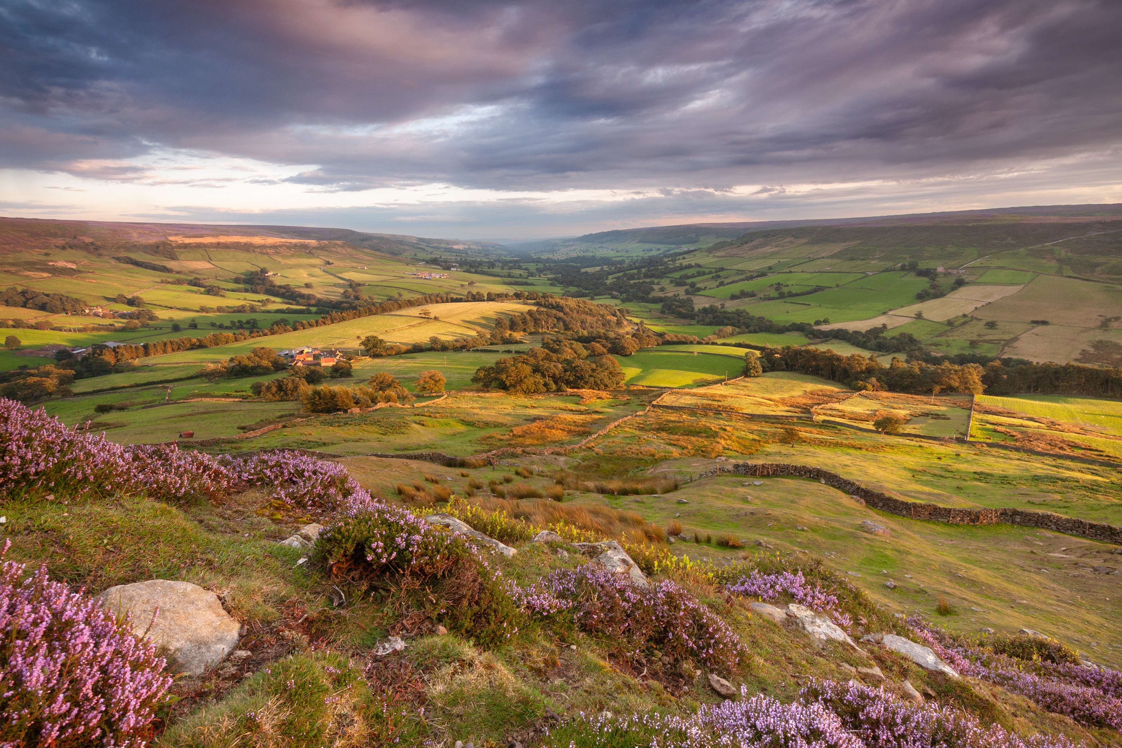 Heather ‘n’ Light