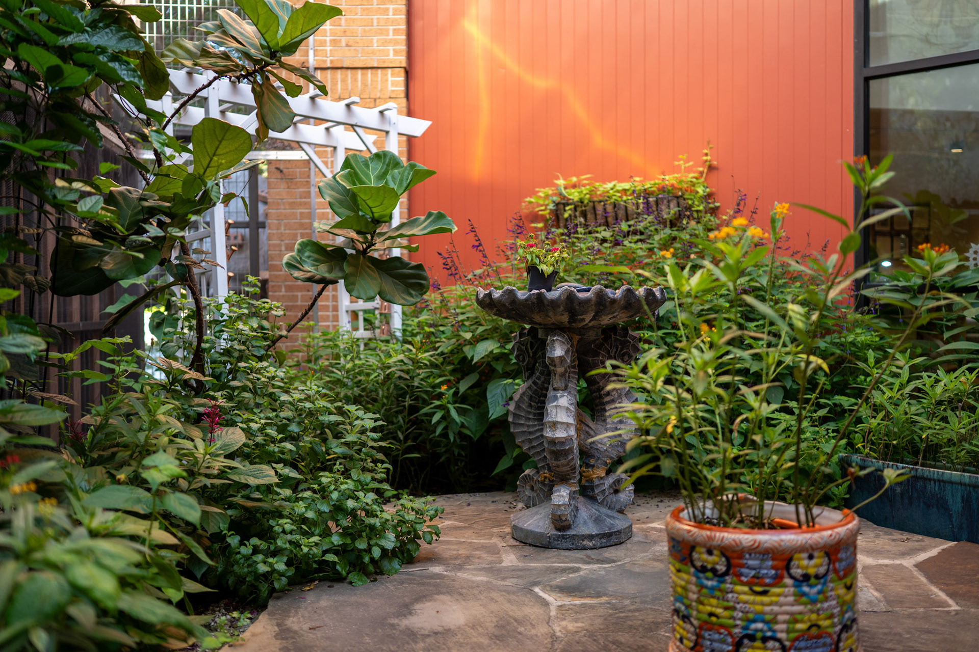 The butterfly garden, where children learn about a butterfly’s natural life cycle, at the Will Smith Zoo School in San Antonio on June 17, 2025.The butterfly garden, where children learn about a butterfly’s natural life cycle, at the Will Smith Zoo School in San Antonio on June 17, 2025.