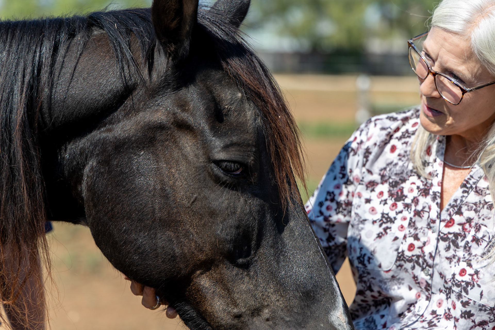 Juvenile Probation Chief Jill Mata pets an equine therapy horse at the Bexar County Juvenile Probation Department’s CHAPS program on Oct. 1, 2025, in San Antonio.