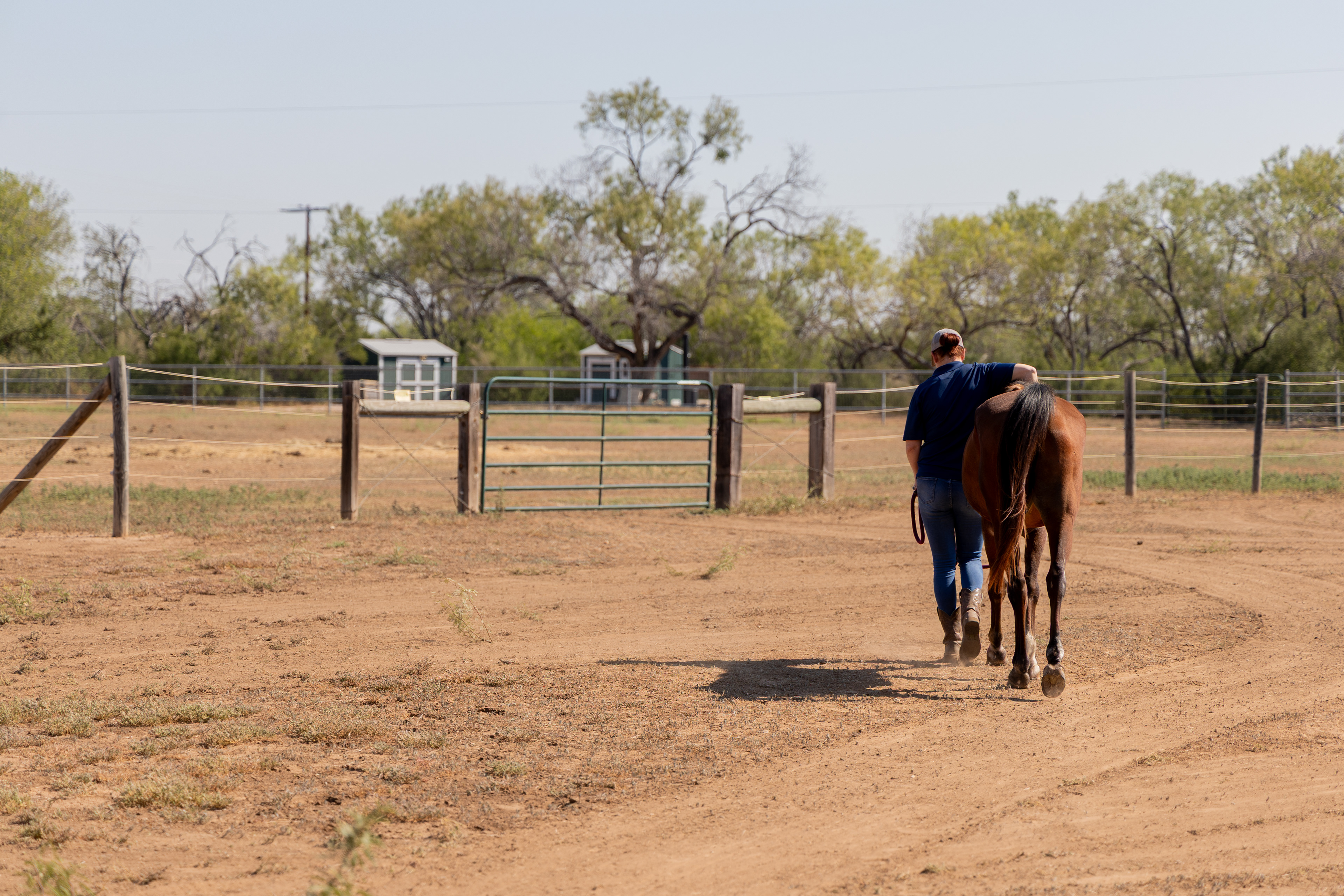 A program specialist with the Bexar County Juvenile Probation Department walks a therapy horse to a corral at the CHAPS site on Oct. 1, 2025, in San Antonio.
