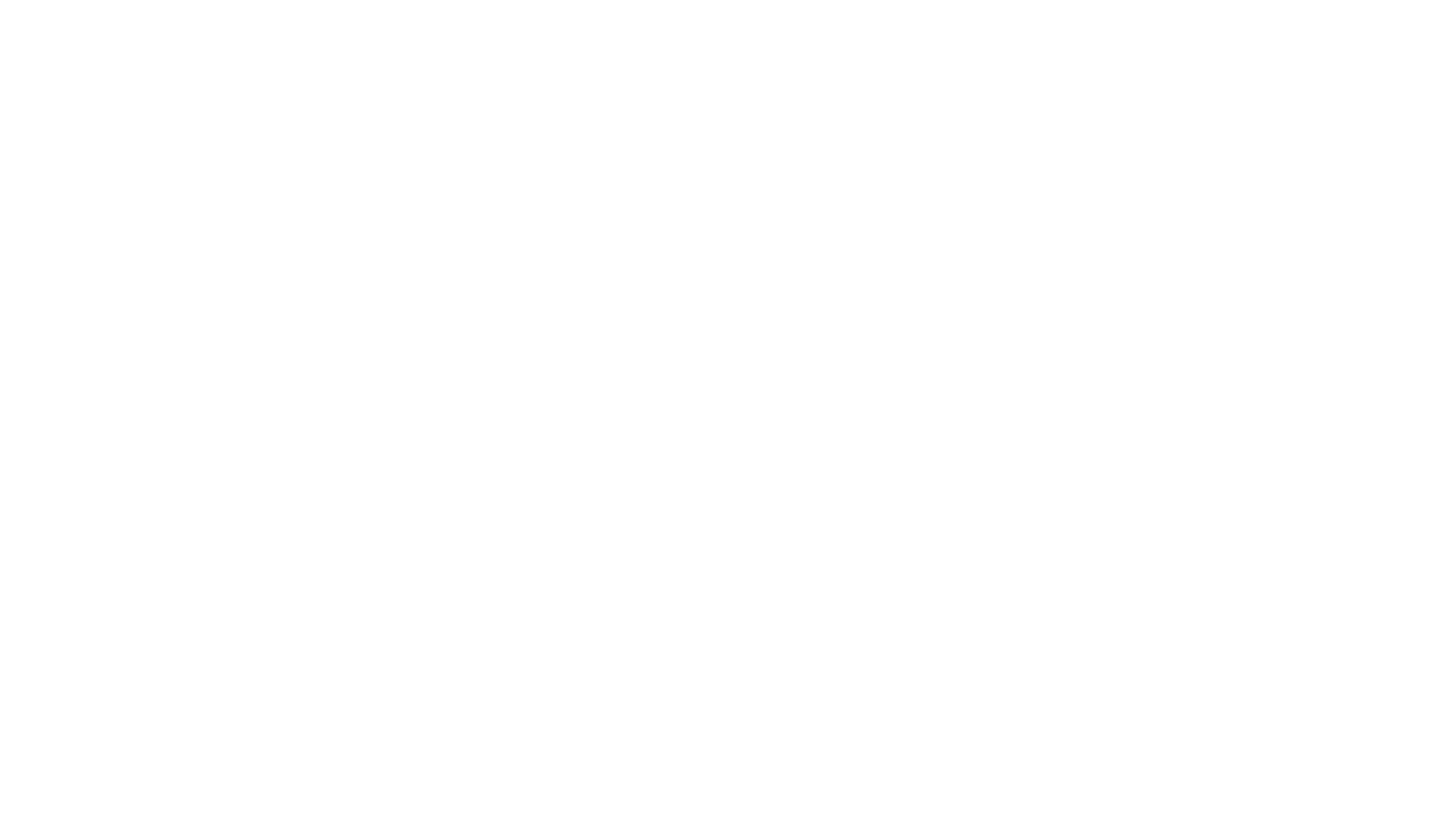 Diego Medel