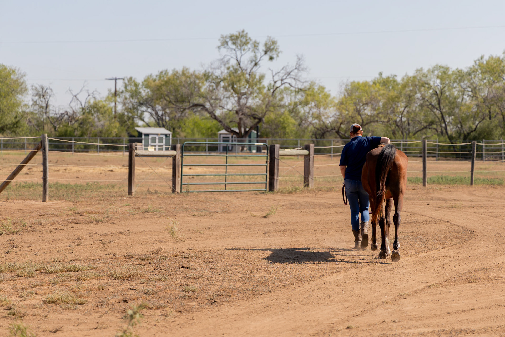 A program specialist walks equine therapy horses to a feeding corral at the Bexar County Juvenile Probation Department’s CHAPS program on Oct. 1, 2025, in San Antonio.