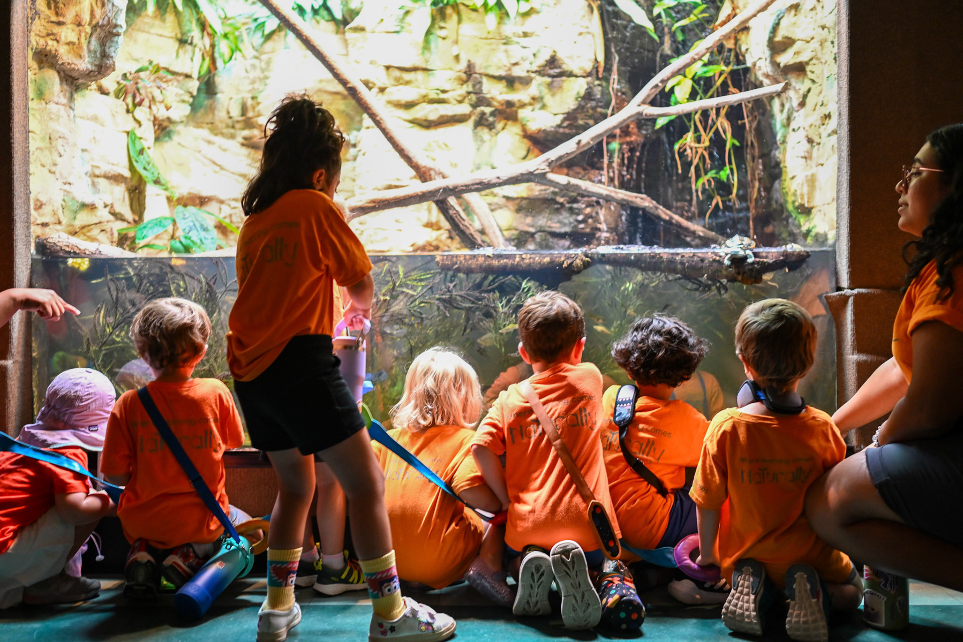 Children with the Will Smith Zoo School observe a turtle exhibit in the Reptile House at the San Antonio Zoo on June 17, 2025.