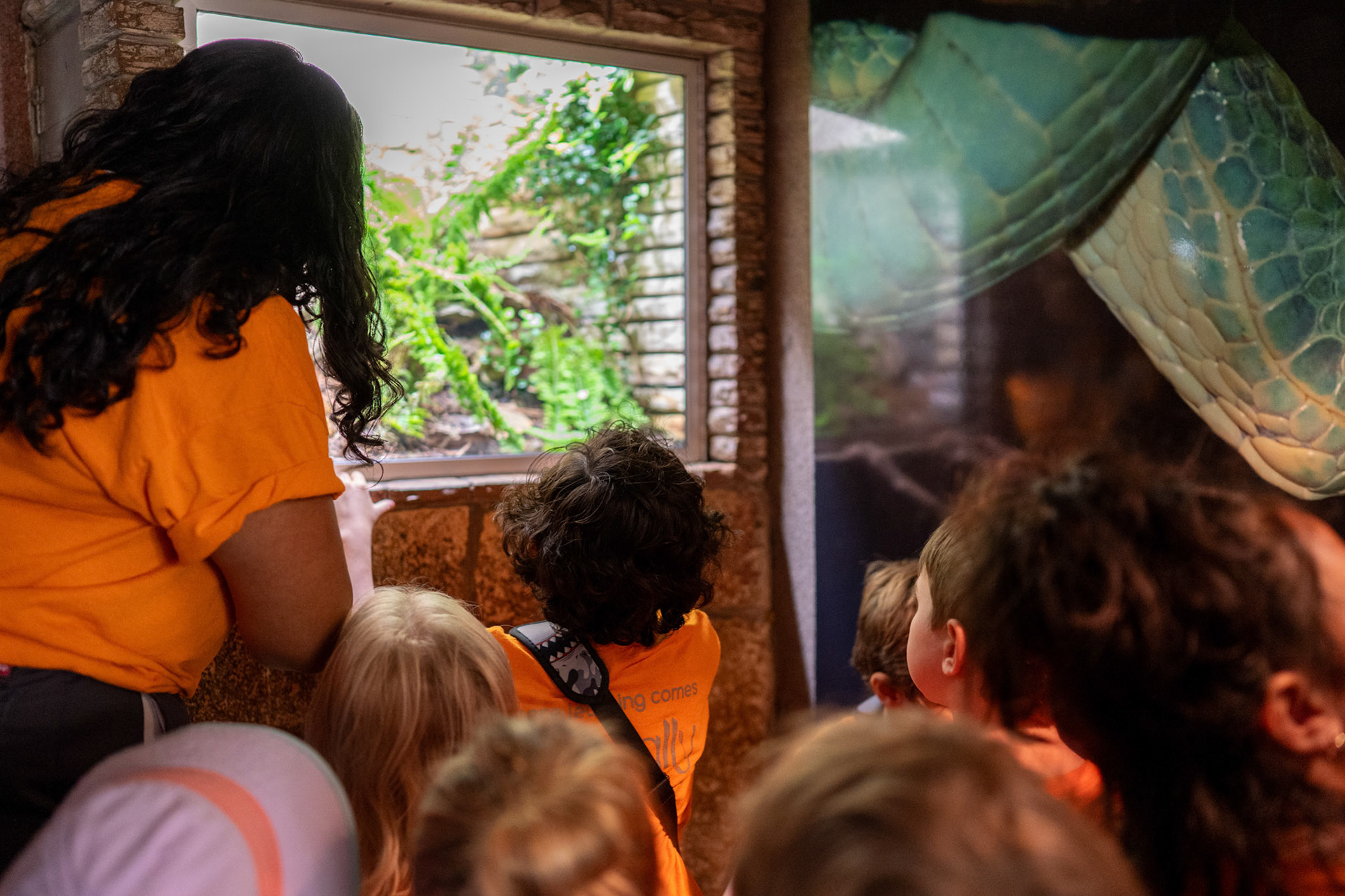 Children with the Will Smith Zoo School look into a snake exhibit in the Reptile House at the San Antonio Zoo on June 17, 2025.