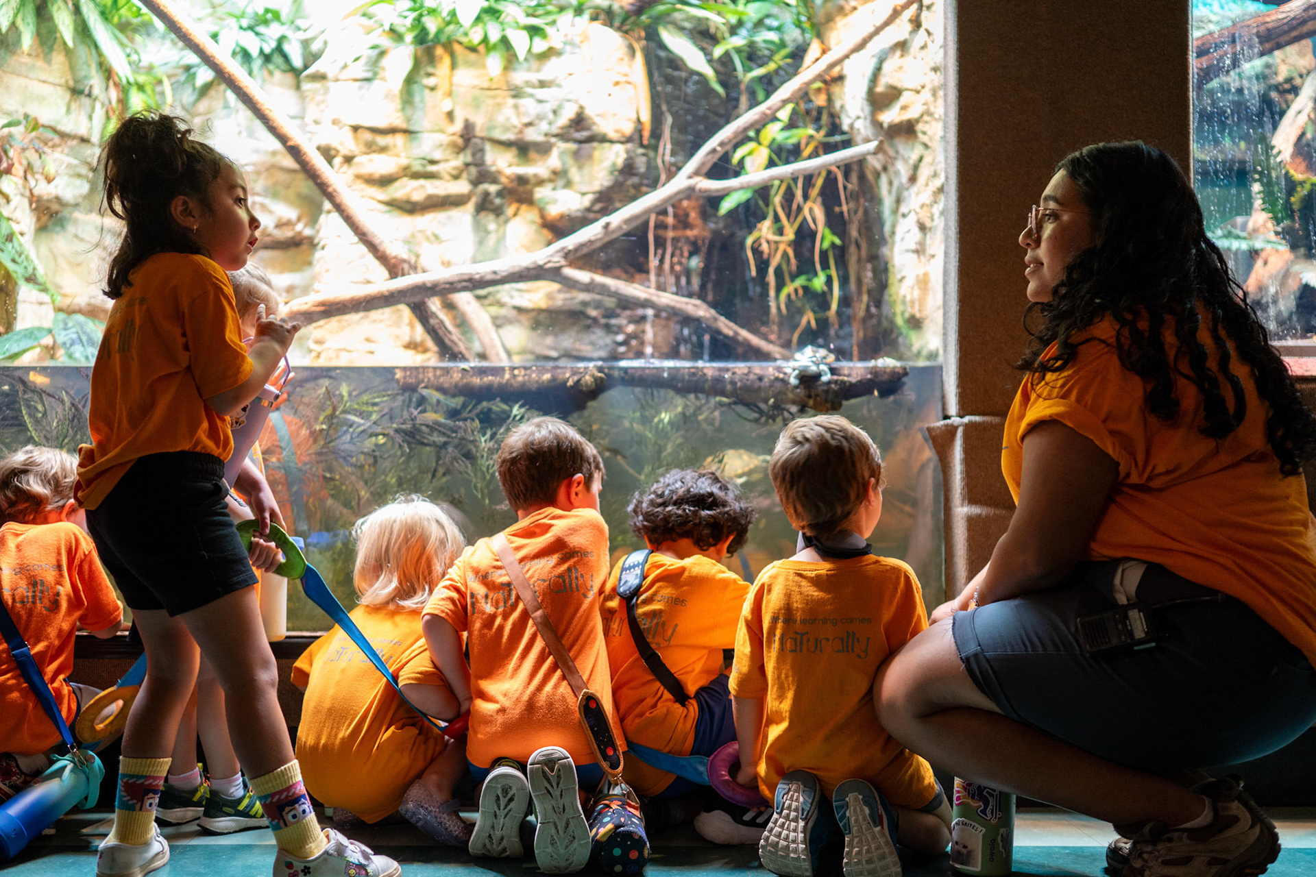 Children with the Will Smith Zoo School observe a turtle exhibit in the Reptile House at the San Antonio Zoo on June 17, 2025.