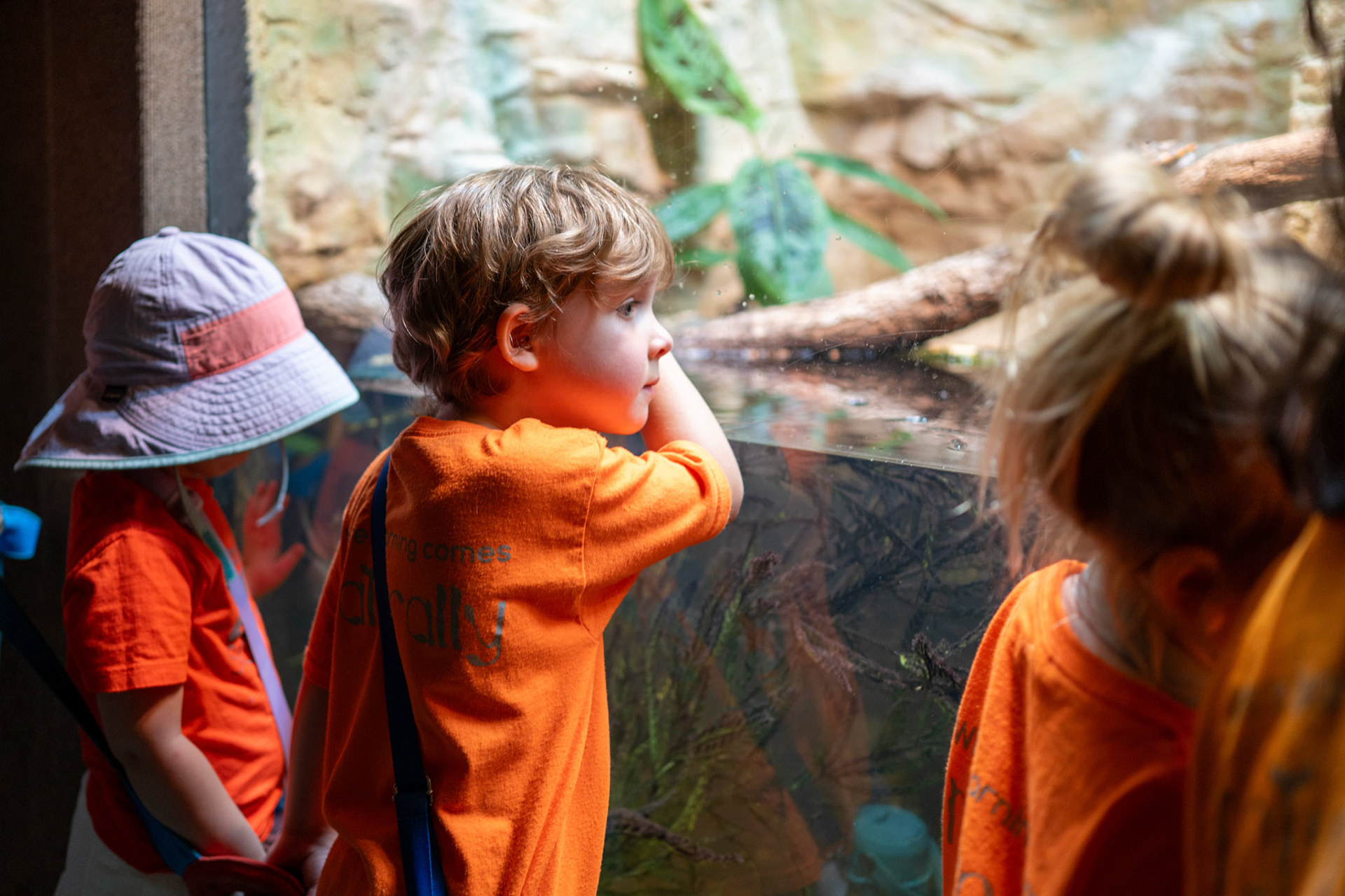 A boy with the Will Smith Zoo School observes a turtle exhibit in the Reptile House at the San Antonio Zoo on June 17, 2025.
