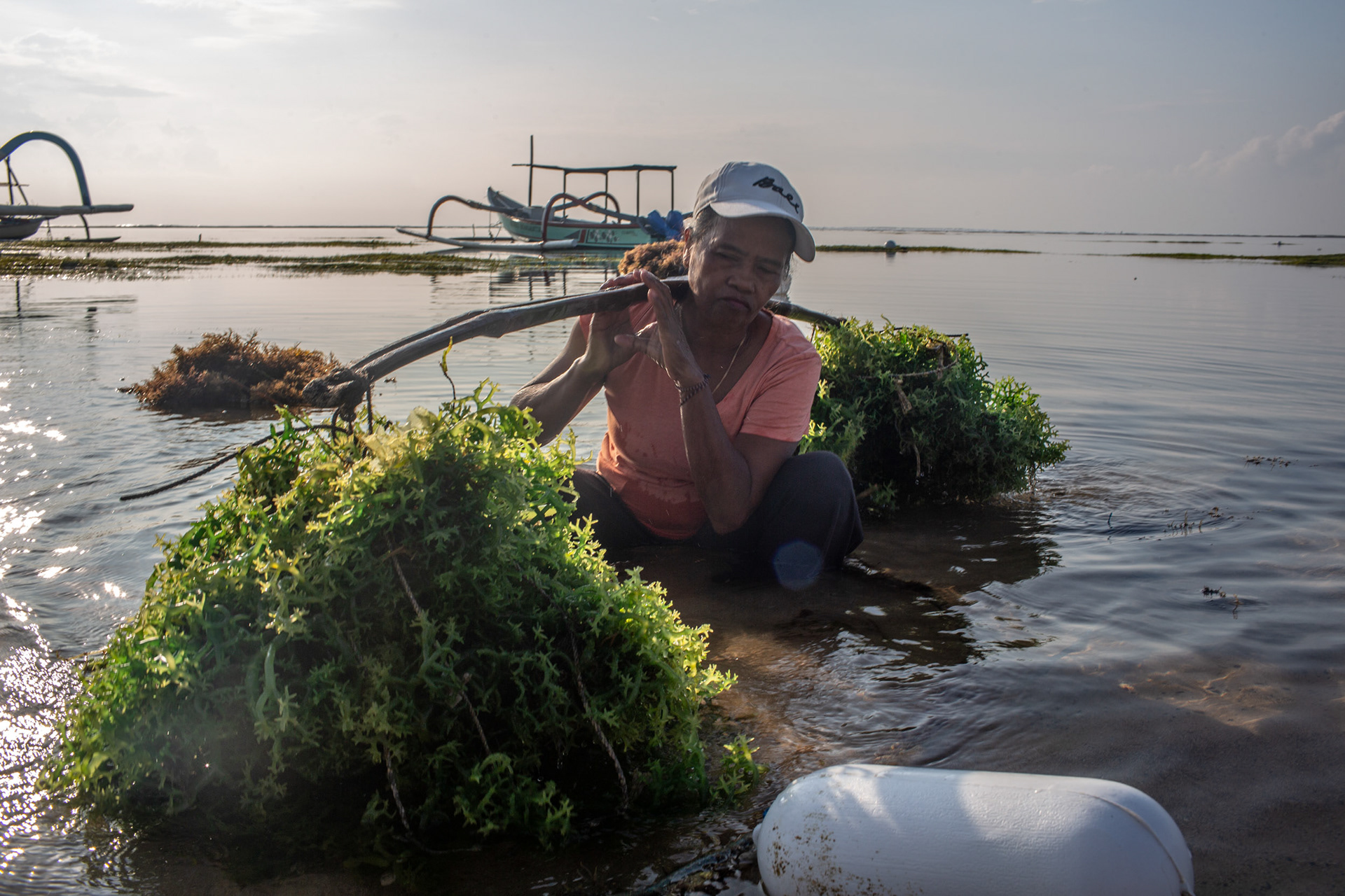 Ibu Yuyun, of East Java, carries a load of seaweed from Geger Beach to make seedlings. Sawangan, Geger Beach, Nusa Dua, November 17, 2024.