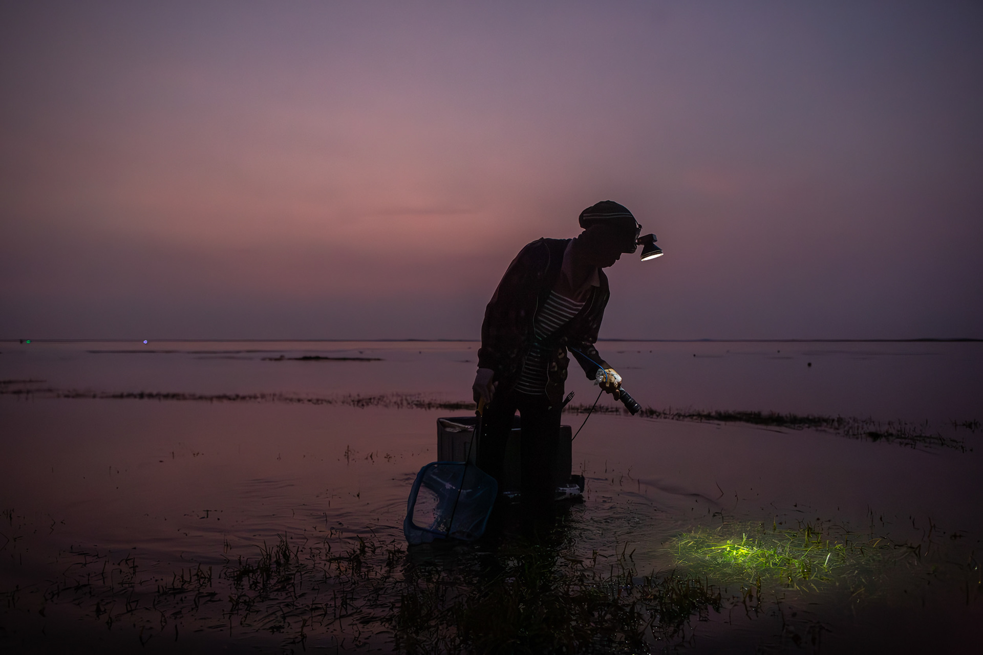 Ibu Renget, searches for urchins in Geger Beach. She began very early because of the full moon. She and her husband Bapak Tenat also have a seaweed farm. Sawangan, Geger Beach, Nusa Dua, November 16, 2024.