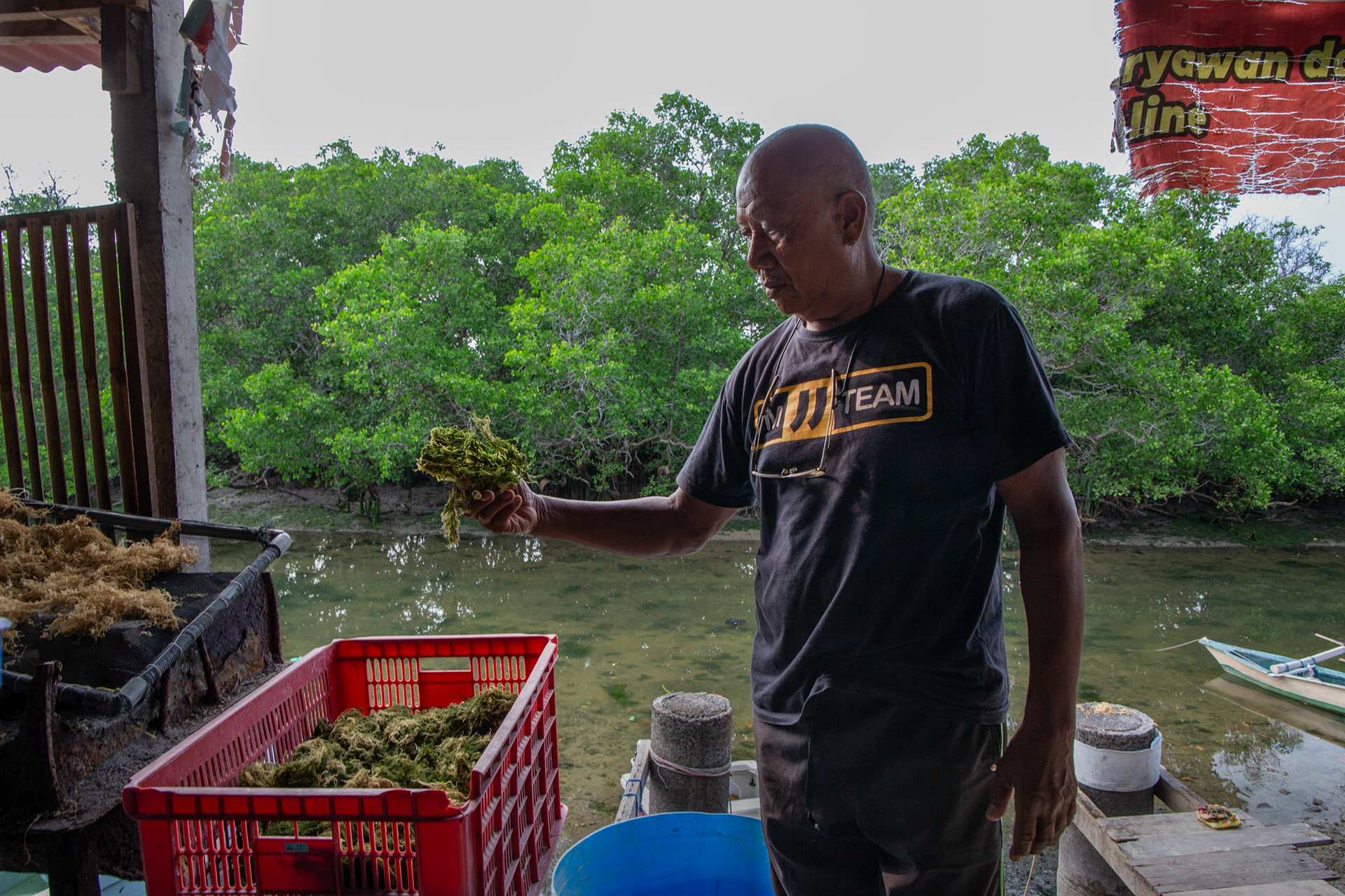 Lechiana, Ketut, 67, learned about seaweed farming during the pandemic. Many people in Bali turned to seaweed farming during the pandemic when tourists stopped visiting Bali, November 16, 2024.
