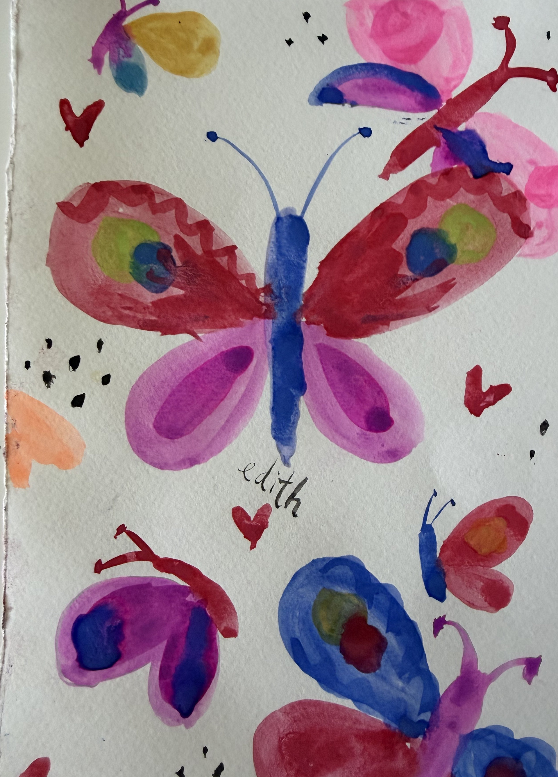 Lovely butterfly watercolours
