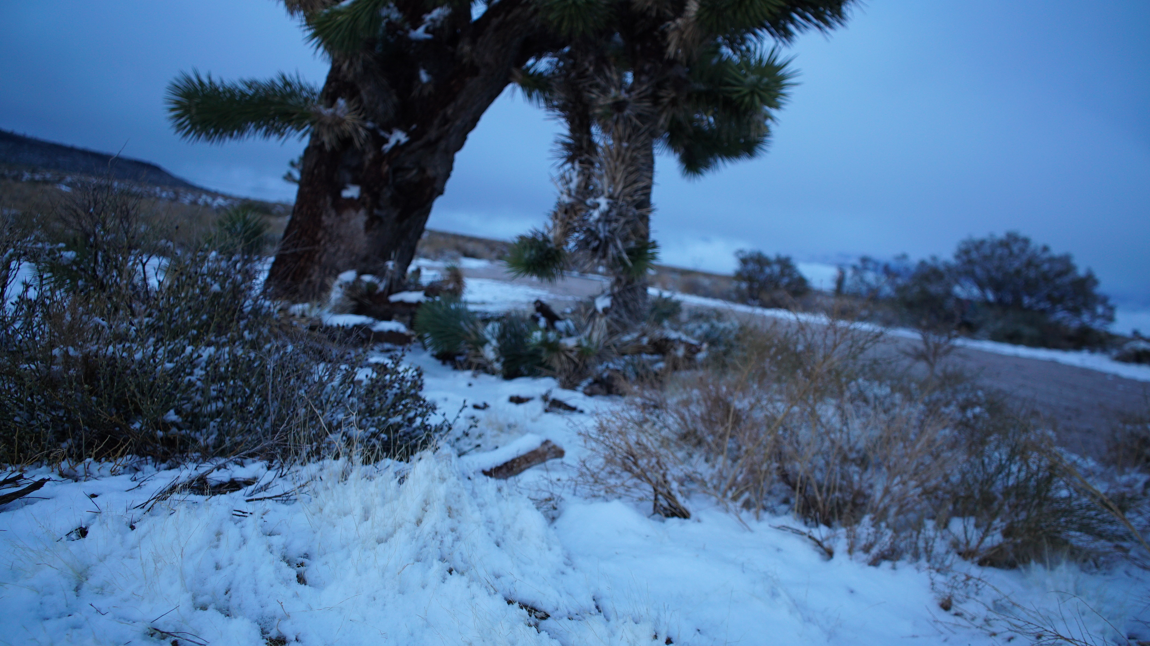 "What's Hidden in the Snow is Revealed in the Thaw" pt. 02