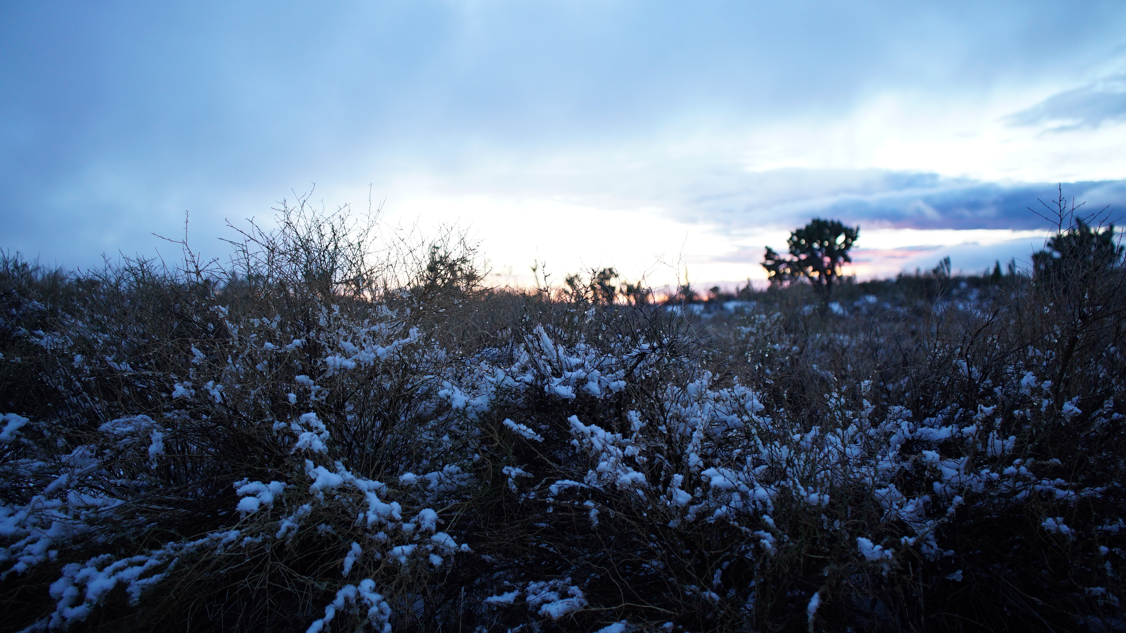 "What's Hidden in the Snow is Revealed in the Thaw" pt. 03