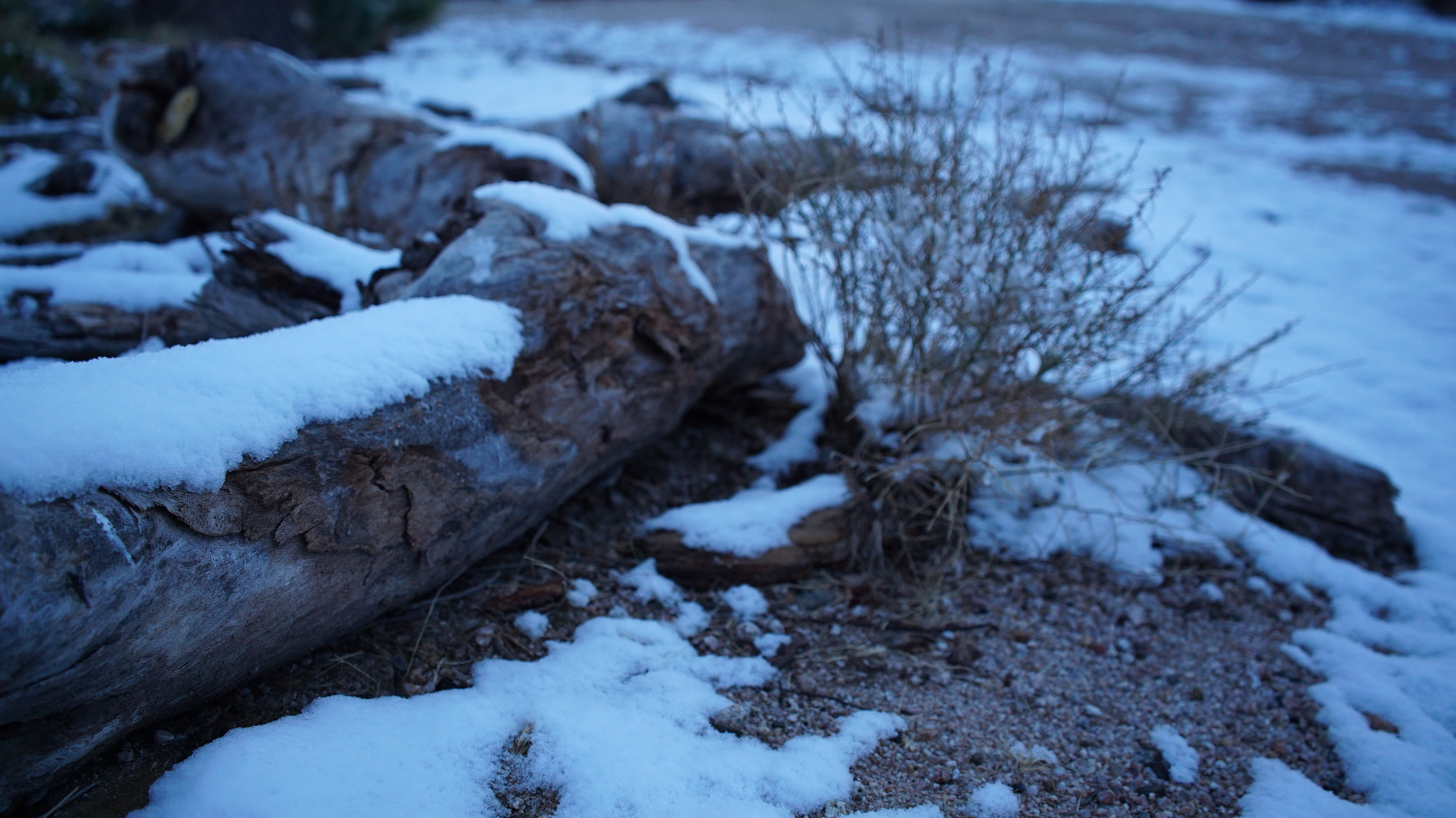 "What's Hidden in the Snow is Revealed in the Thaw" pt. 01