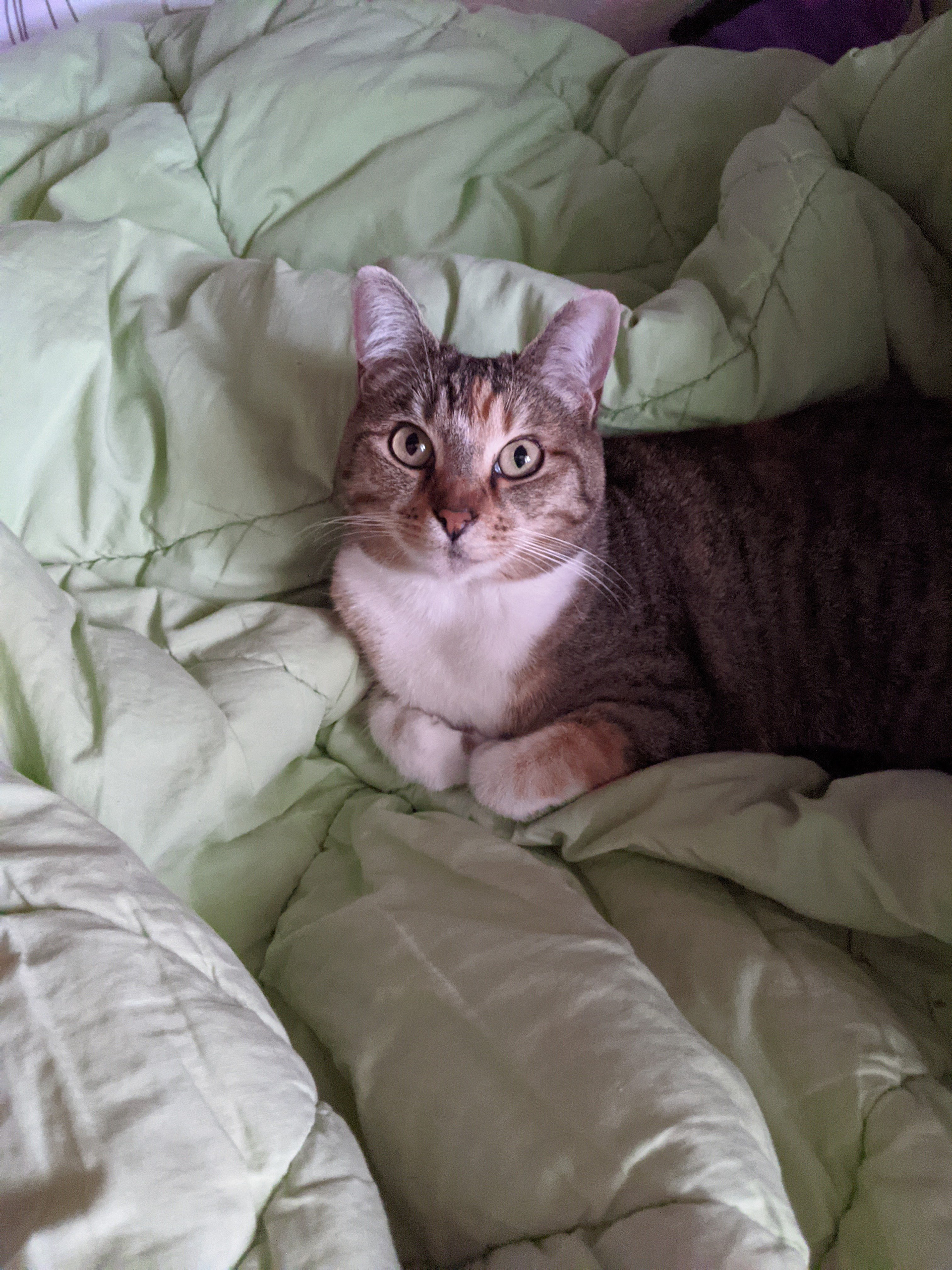 Sally