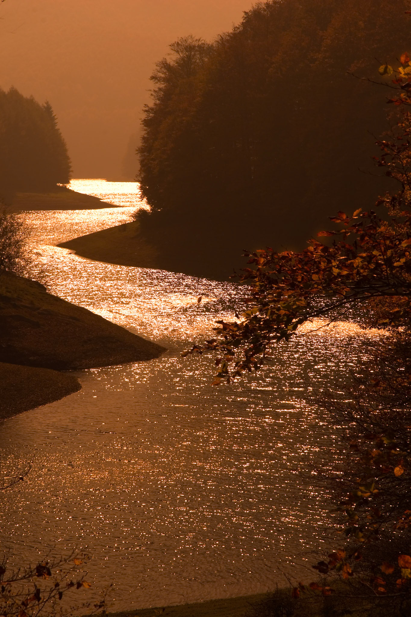 Golden River