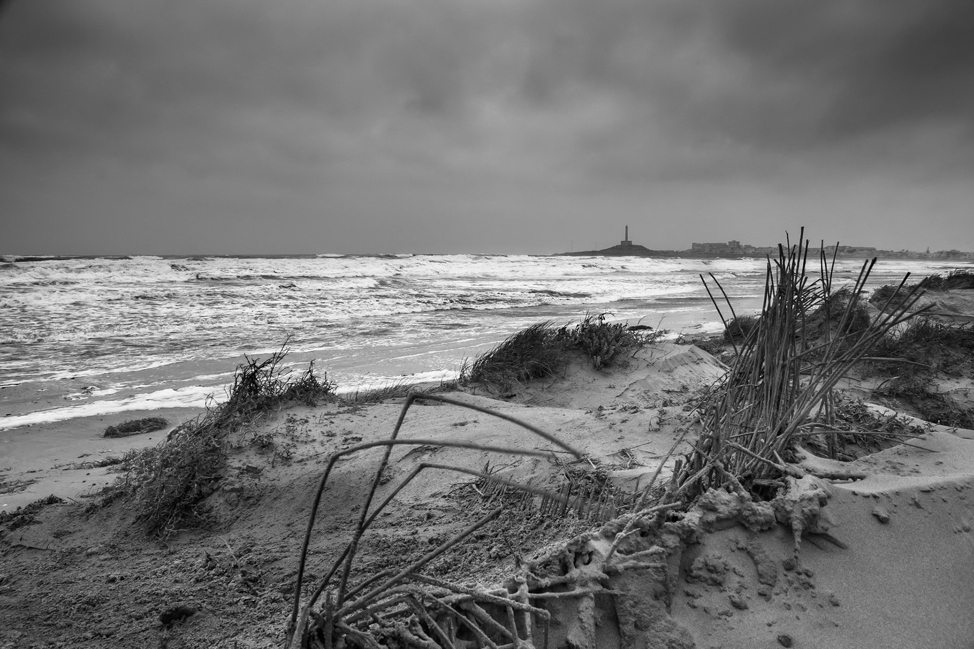 Beautiful Desolation